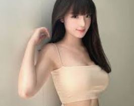 基础介绍指南